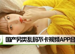 国产另类视频在线观看视频,在线观看新体验