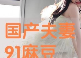 国产夫妻91,揭秘国产影视行业中的甜蜜与挑战