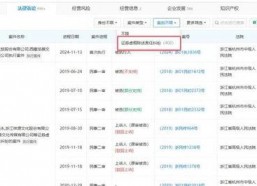 国产a网站,探索创新与发展的中国互联网新篇章