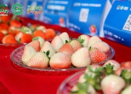国产草莓在线,甜蜜滋味，绿色健康新选择