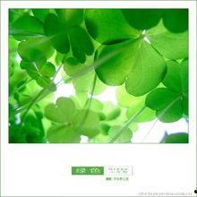 吃瓜四叶草娱乐,揭秘娱乐圈幕后故事